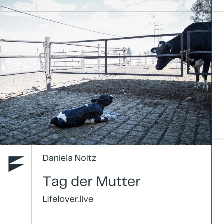 Tag der Mutter – Aktivismus
