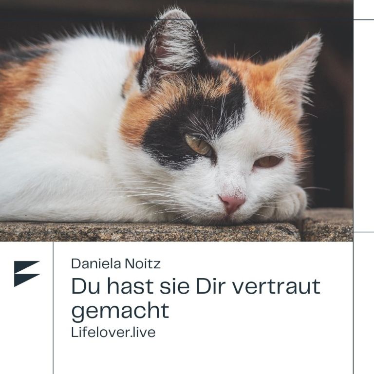 Du hast sie Dir vertraut gemacht – Alle Geschichten