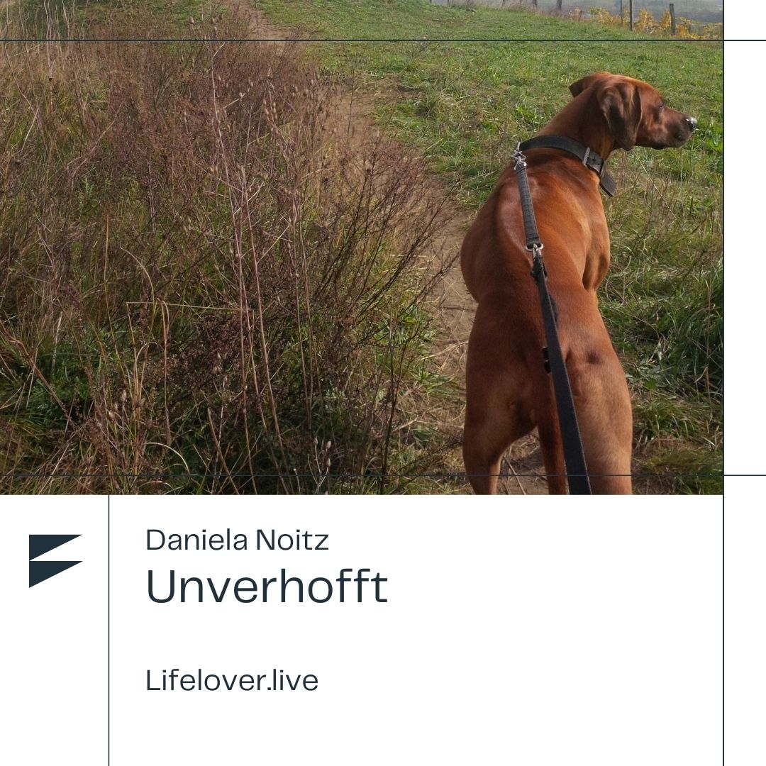 Unverhofft – Alle Geschichten