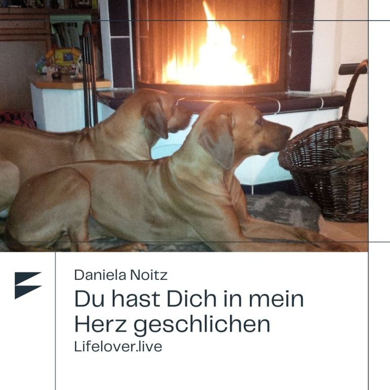 Du hast Dich in mein Herz geschlichen – Alle Geschichten