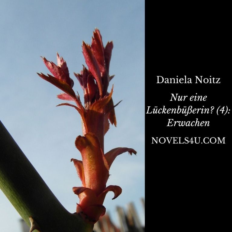 Nur eine Lückenbüßerin? (4): Erwachen – Alle Geschichten