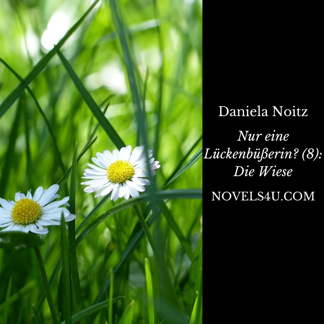 Nur eine Lückenbüßerin? (8): Die Wiese – Alle Geschichten