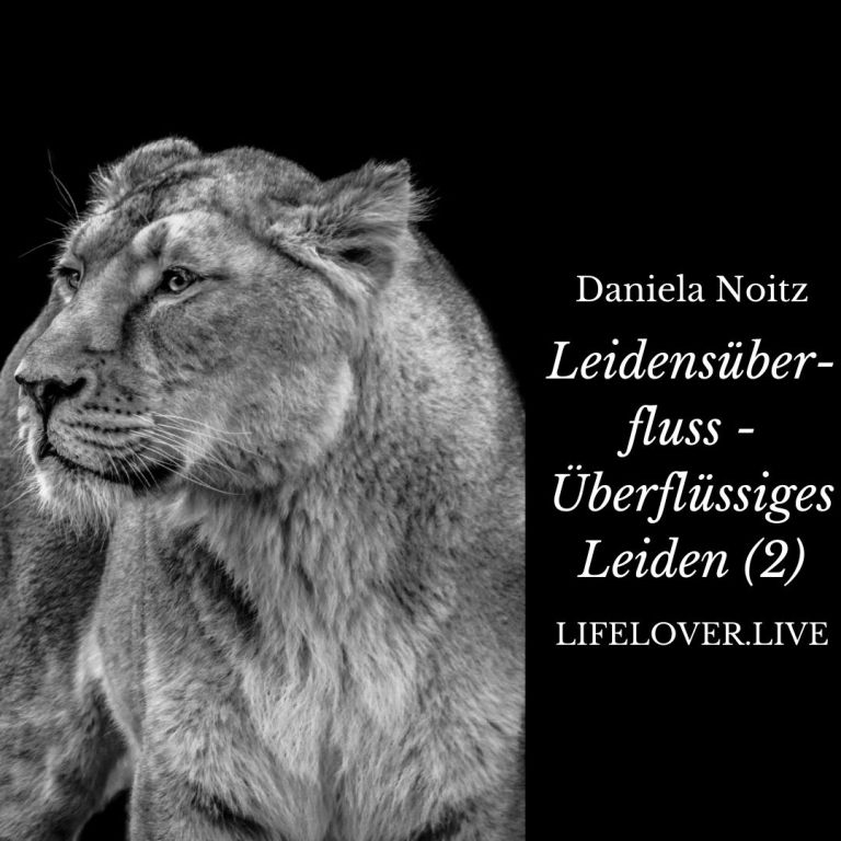 Leidensüberfluss – überflüssiges Leiden (2) – Aktivismus