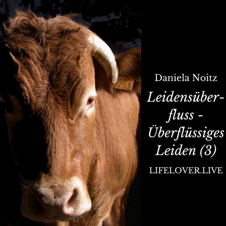 Leidensüberfluss – überflüssiges Leiden (3) – Aktivismus