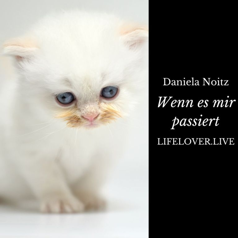 Novels4u.com – Literatur & Geschichten