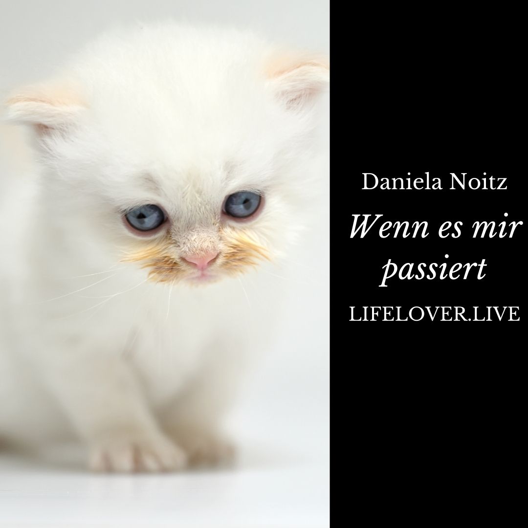 Novels4u.com – Literatur & Geschichten