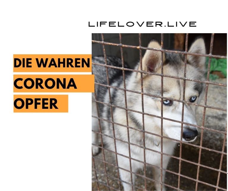 Die wahren Corona-Opfer – Aktivismus