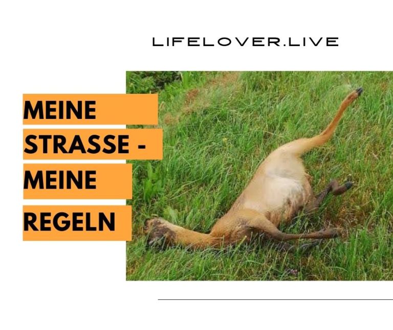 Meine Straße - Meine Regeln – Aktivismus