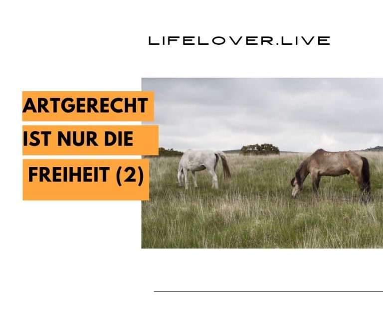 Novels4u.com – Literatur & Geschichten