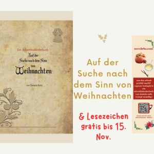Auf der Suche nach dem Sinn von Weihnachten | Daniela Noitz | Adventkalenderbuch