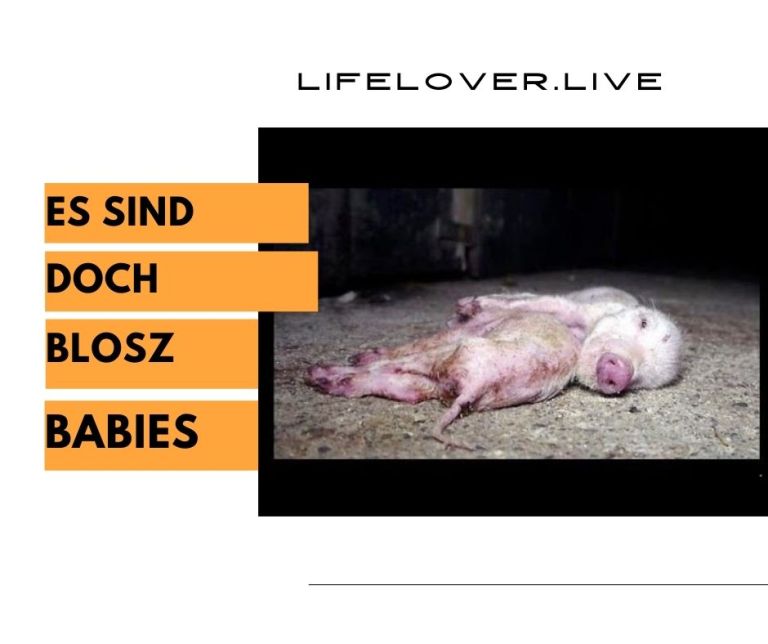 Es sind doch bloß Babies – Aktivismus