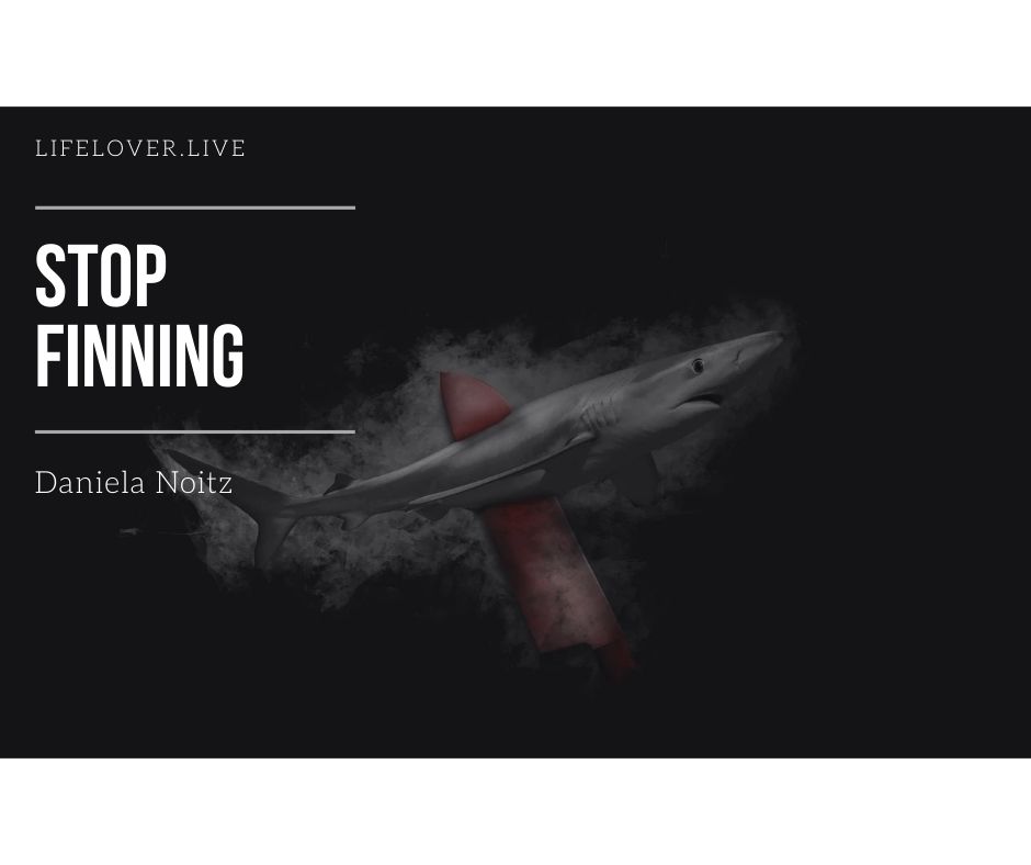 Stop Finning – eine europäische Bürgerinitiative[1] – Aktivismus