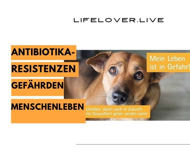 Antibiotikaresistenzen gefährden Menschenleben – Aktivismus