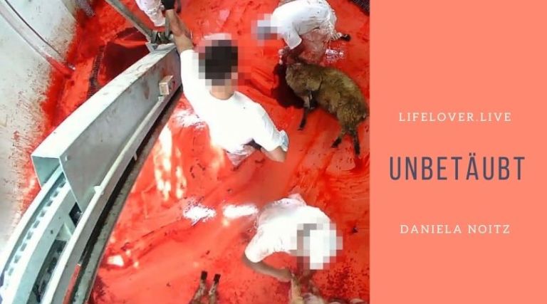 Unbetäubt – Aktivismus