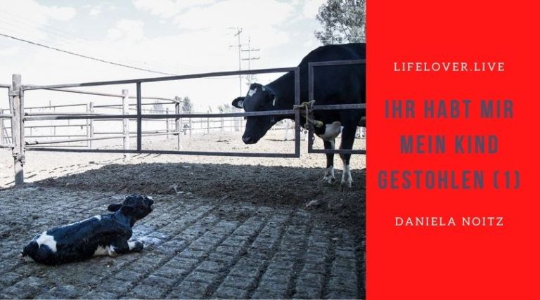 Ihr habt mir mein Kind gestohlen (1) – Aktivismus