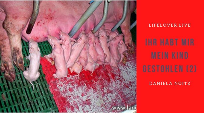 Ihr habt mir mein Kind gestohlen (2) – Aktivismus