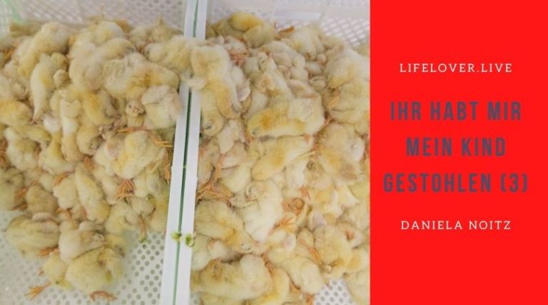 Novels4u.com – Literatur & Geschichten