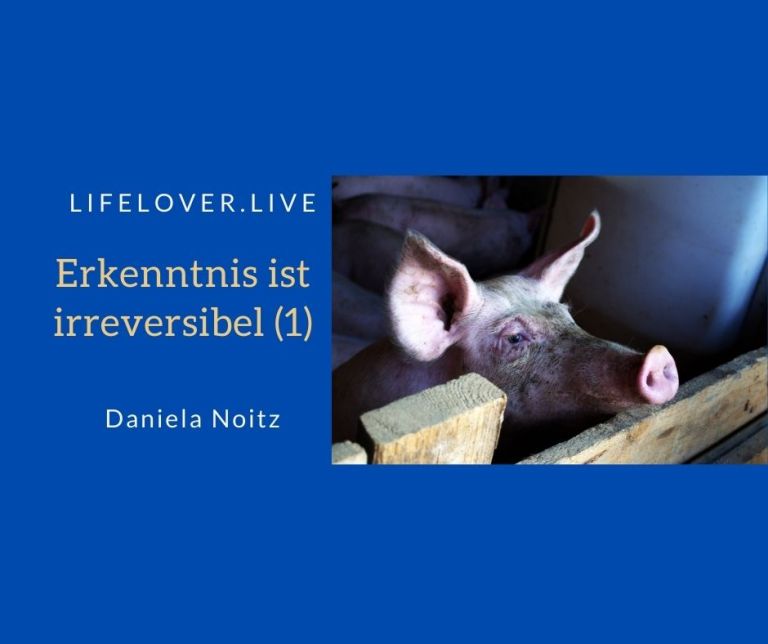 Erkenntnis ist irreversibel (1) – Aktivismus