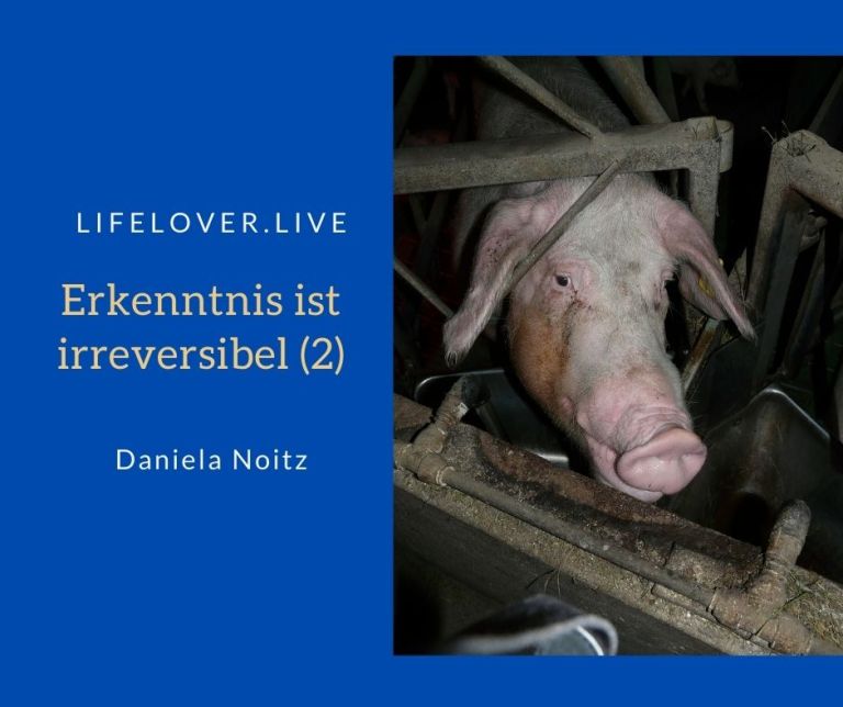 Erkenntnis ist irreversibel (2) – Aktivismus