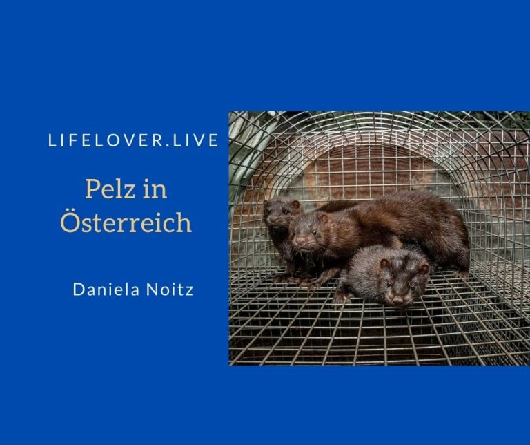 Pelz in Österreich – Aktivismus
