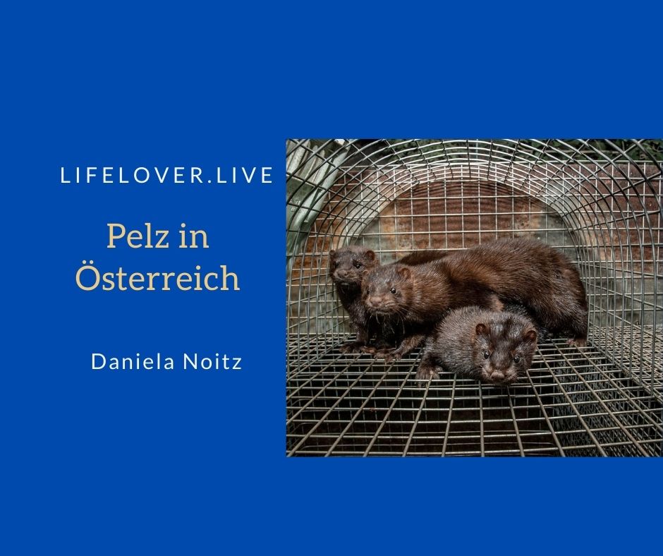 Pelz in Österreich – Aktivismus
