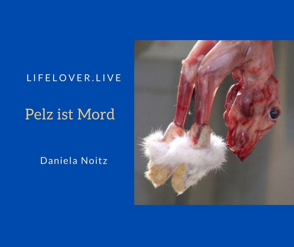 Novels4u.com – Literatur & Geschichten