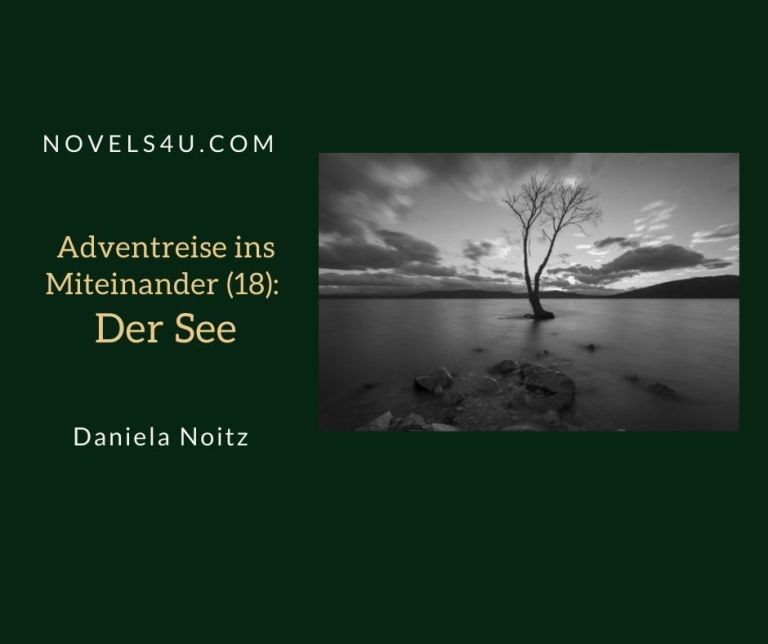 Adventreise ins Miteinander (3): Der Weg – Advent