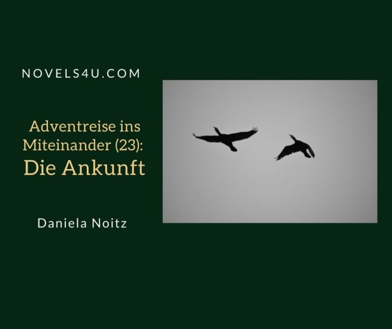 Adventreise ins Miteinander (3): Der Weg – Advent