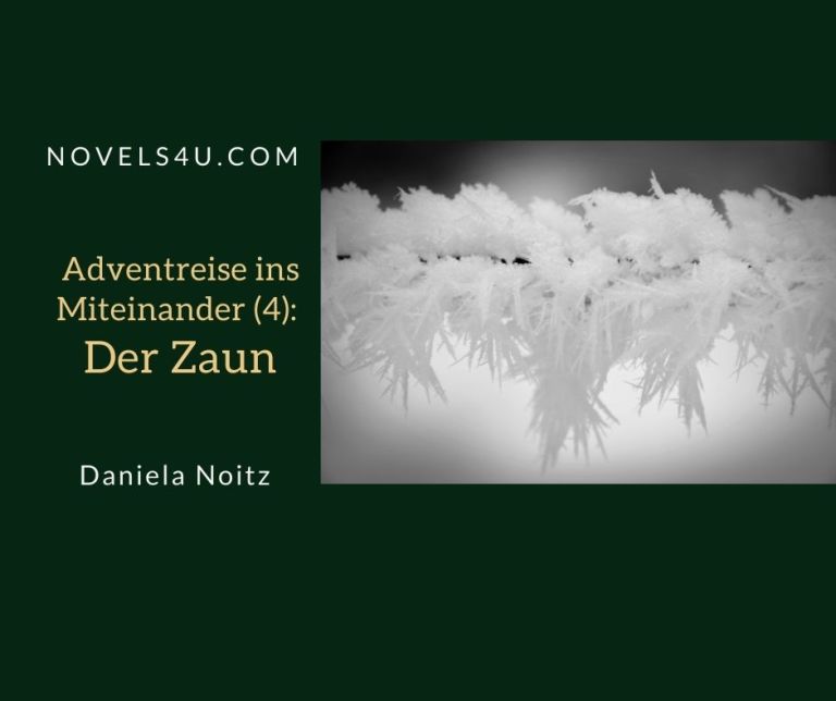 Adventreise ins Miteinander (3): Der Weg – Advent