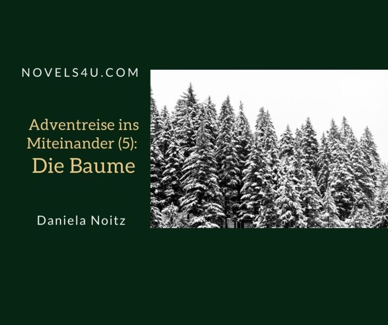 Adventreise ins Miteinander (3): Der Weg – Advent