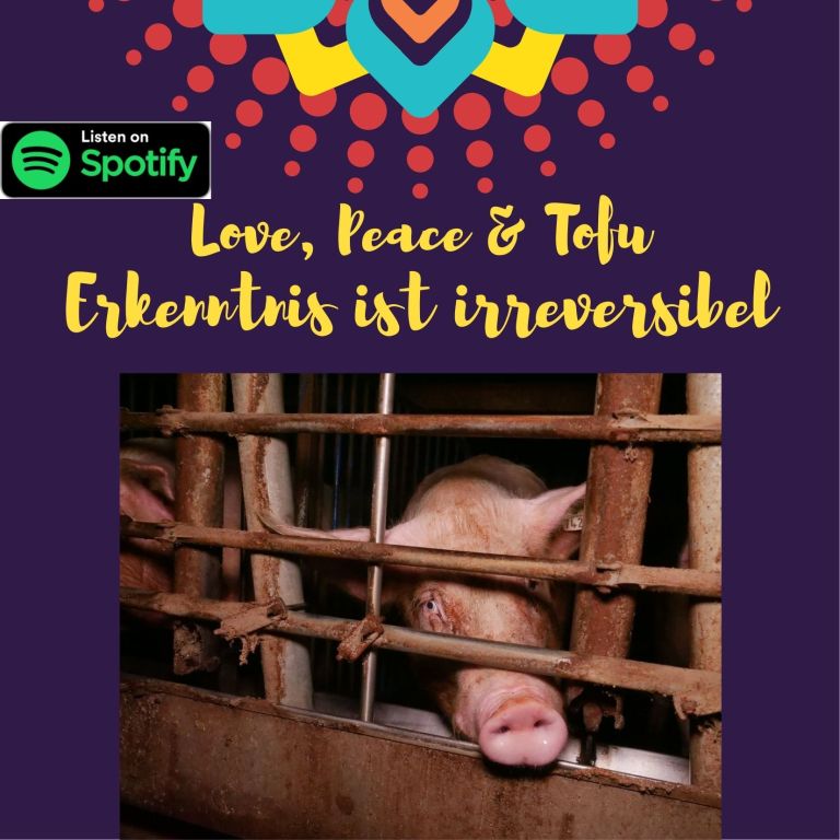 Erkenntnis ist irreversibel – Alle Geschichten