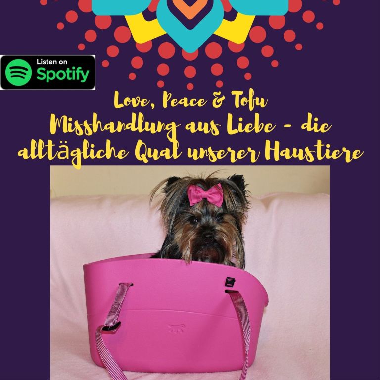Misshandlung aus Liebe - die alltägliche Qual unserer Haustiere – Alle Geschichten