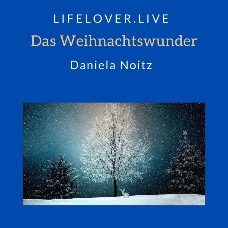 Das Weihnachtswunder – Alle Geschichten