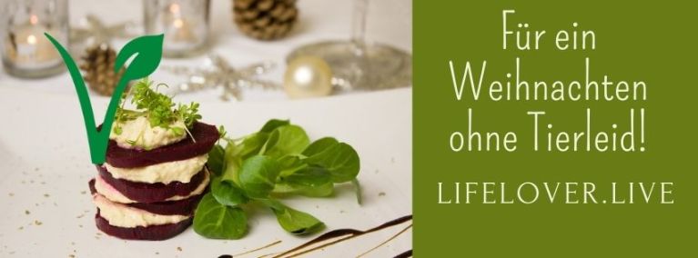 Wovon ich zu Weihnachten träume – Alle Geschichten