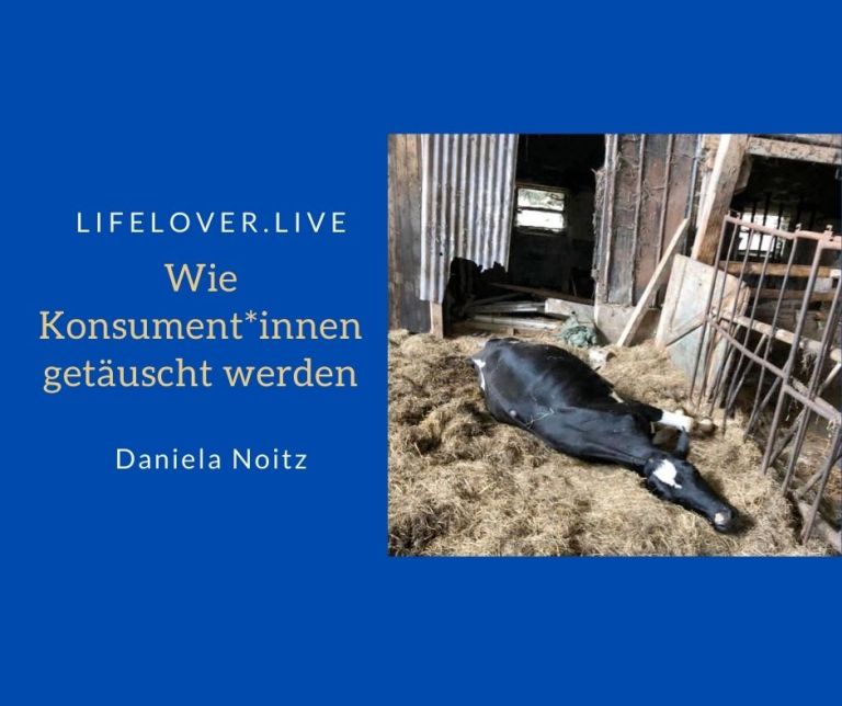 Wie Konsument*innen getäuscht werden – Aktivismus
