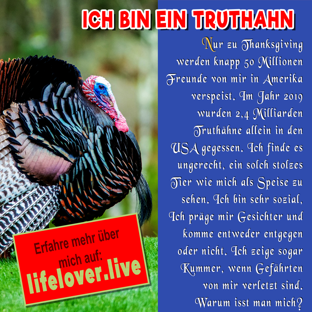 Novels4u.com – Literatur & Geschichten