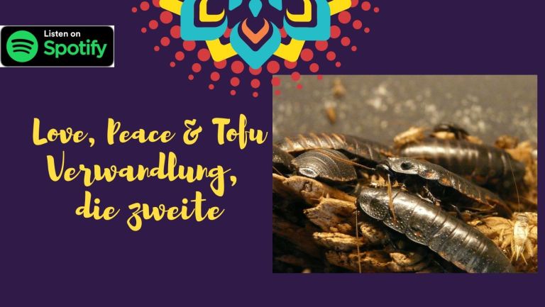 Verwandlung, die zweite – Alle Geschichten