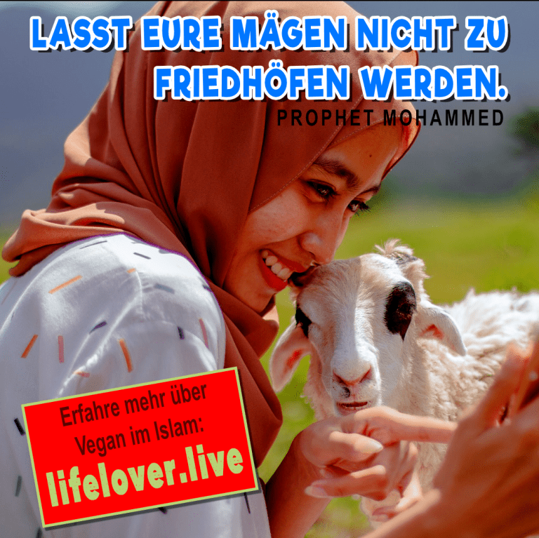 🍉 Veganismus im Islam | 🧕 Als Moslem vegan leben – Alle Geschichten
