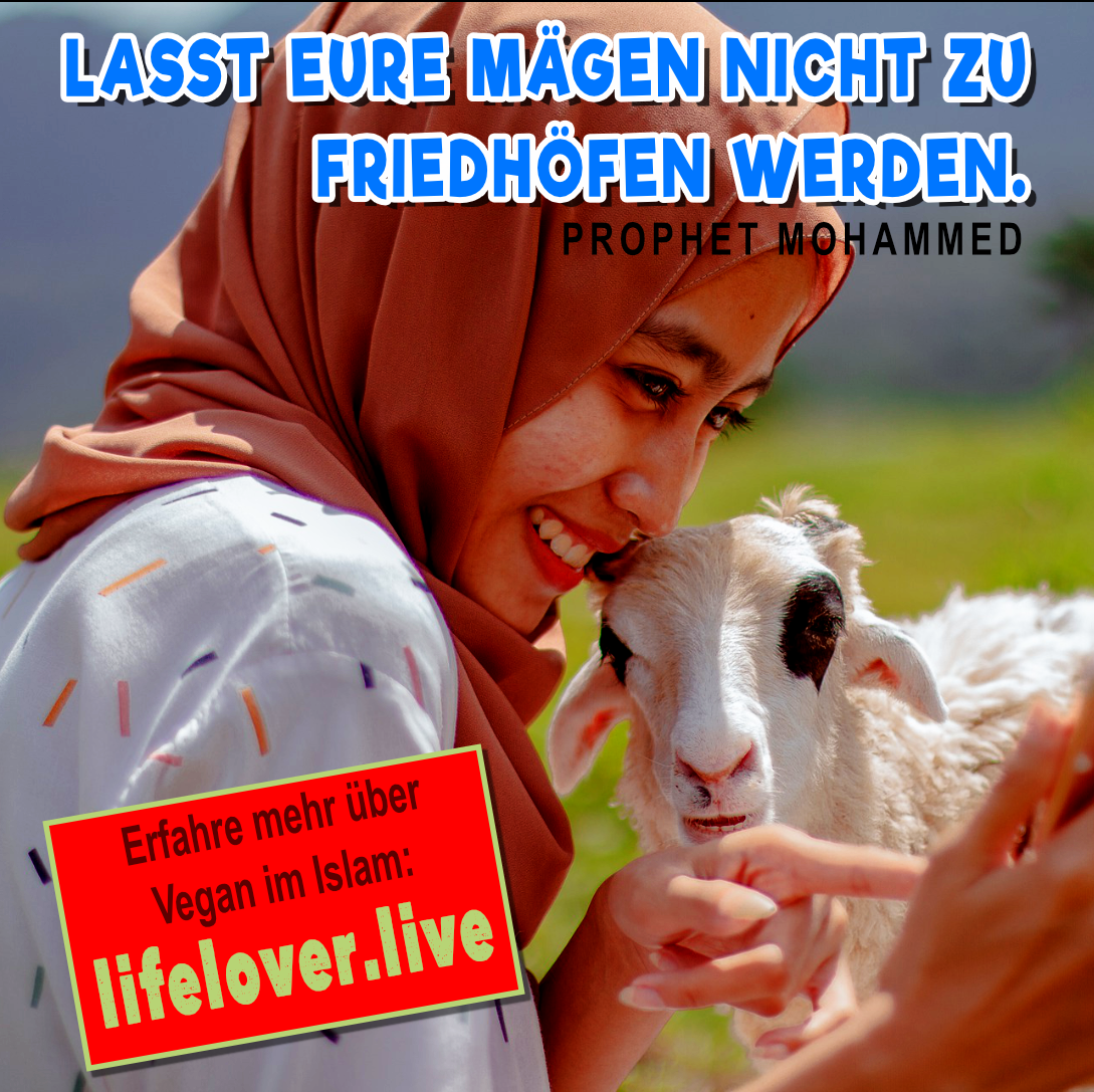 🍉 Veganismus im Islam | 🧕 Als Moslem vegan leben – Alle Geschichten
