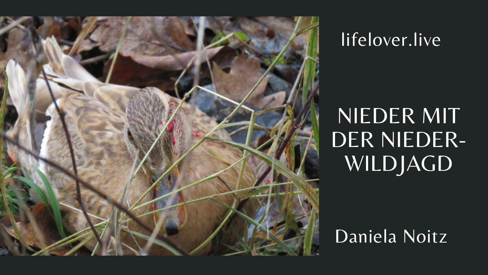 Nieder mit der Niederwildjagd! – Aktivismus