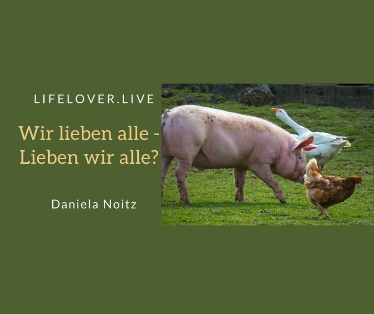 Wir lieben alle - Lieben wir alle? – Alle Geschichten