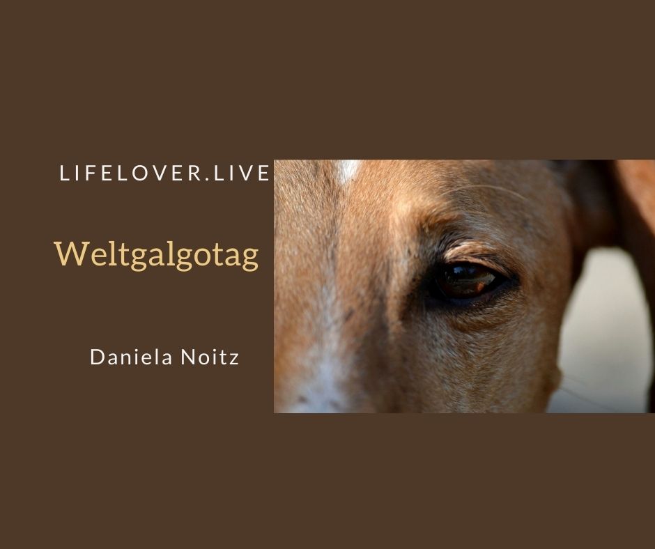 Weltgalgotag – Aktivismus