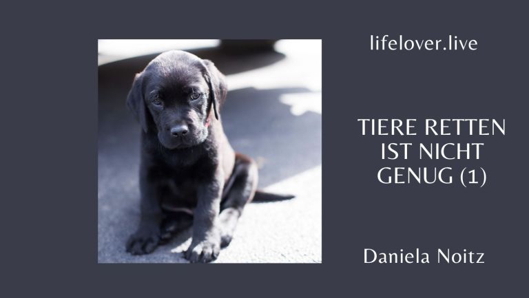 Tiere retten ist nicht genug (1) – Aktivismus