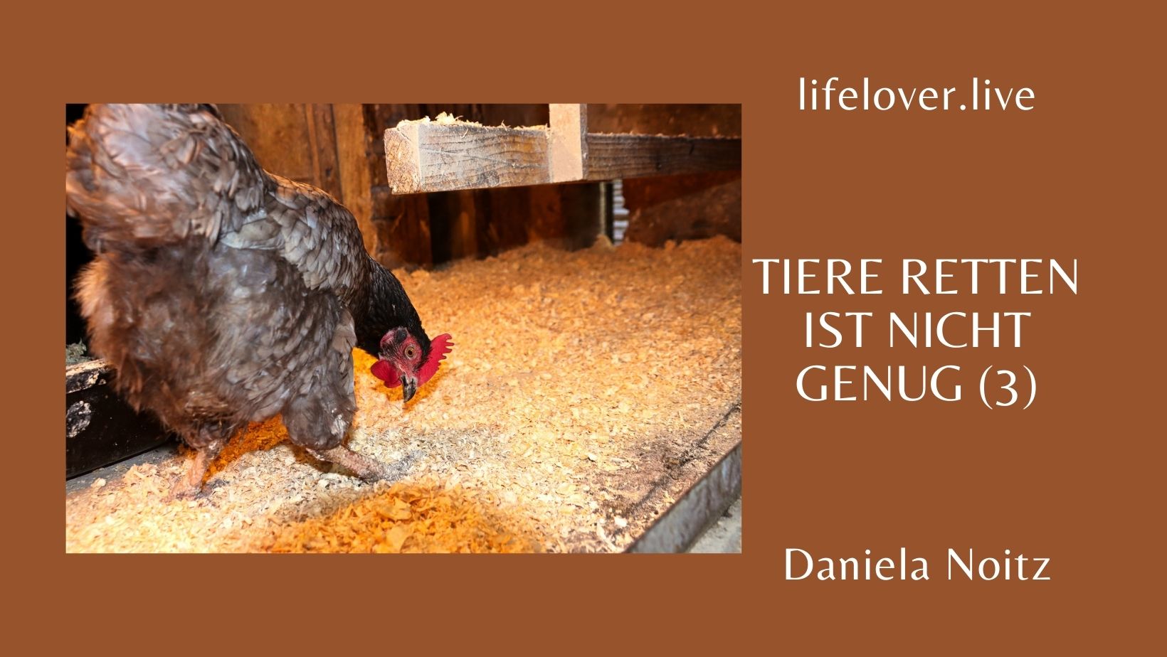 Tiere retten ist nicht genug (3) – Aktivismus