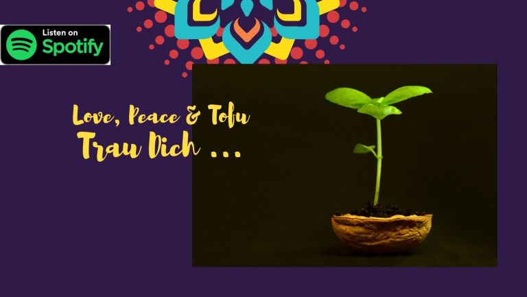 Trau Dich ... – Alle Geschichten