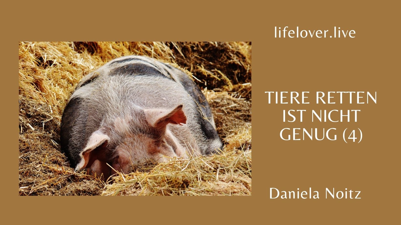 Tiere retten ist nicht genug (4) – Aktivismus