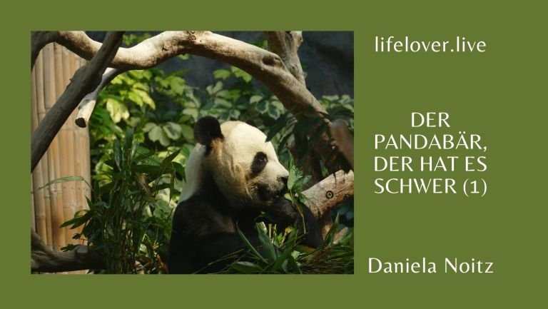Der Pandabär, der hat es schwer (1) – Alle Geschichten