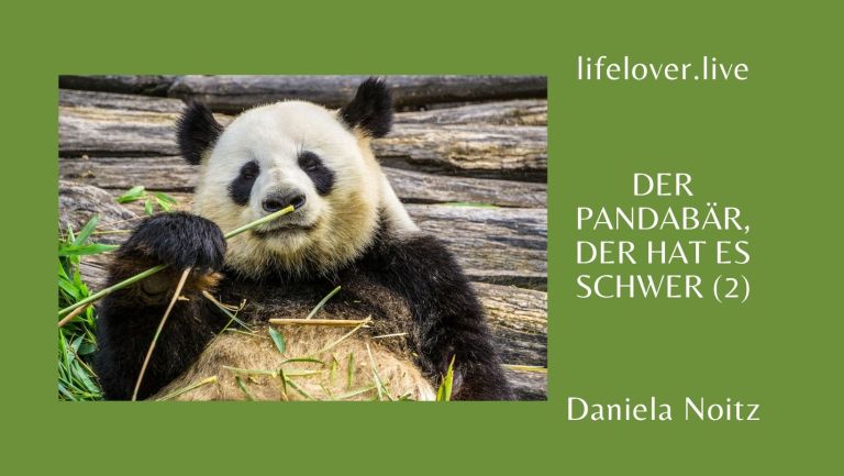Der Pandabär, der hat es schwer (2) – Alle Geschichten