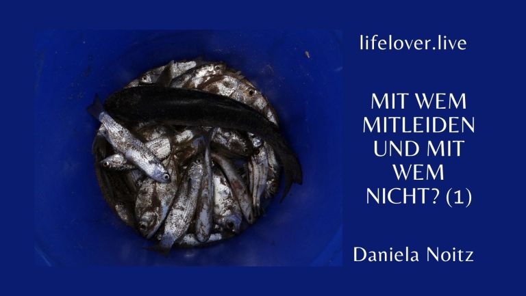 Mit wem mitleiden und mit wem nicht? (1) – Aktivismus