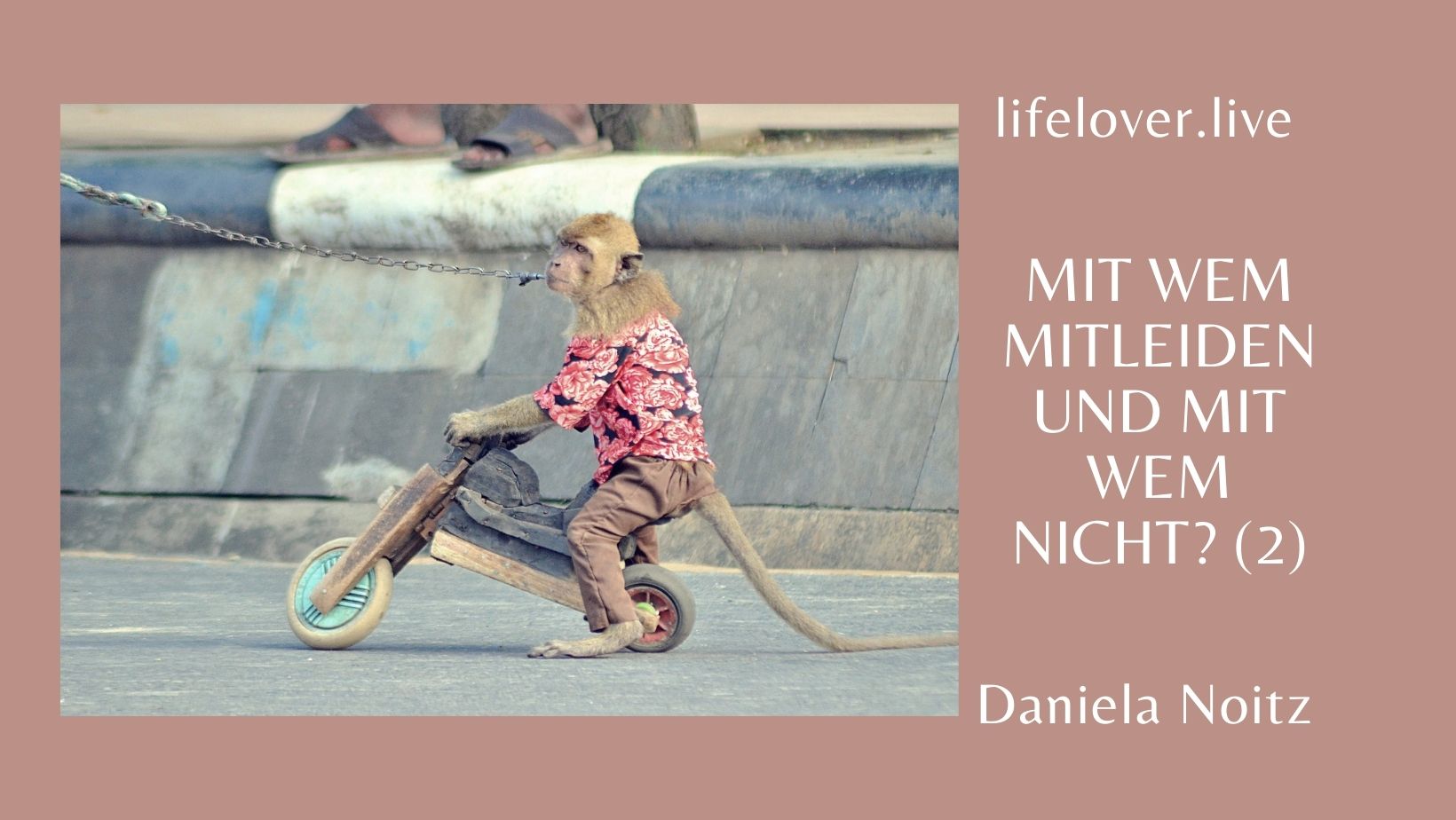 Mit wem mitleiden und mit wem nicht? (2) – Aktivismus